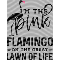 Animal Integration-DW 1361